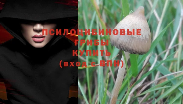 герыч Верея