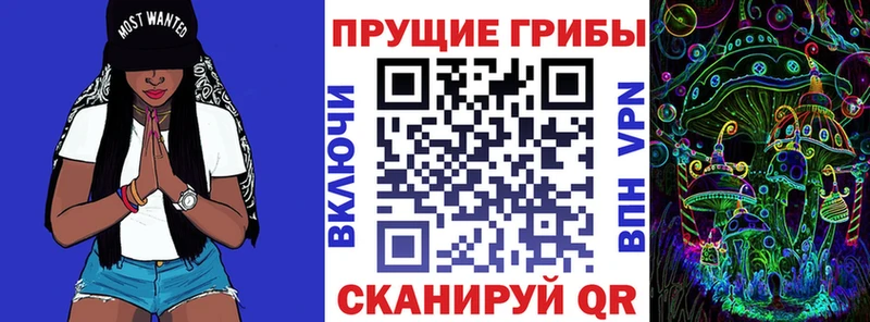 Галлюциногенные грибы мицелий  Купить  Лермонтов 